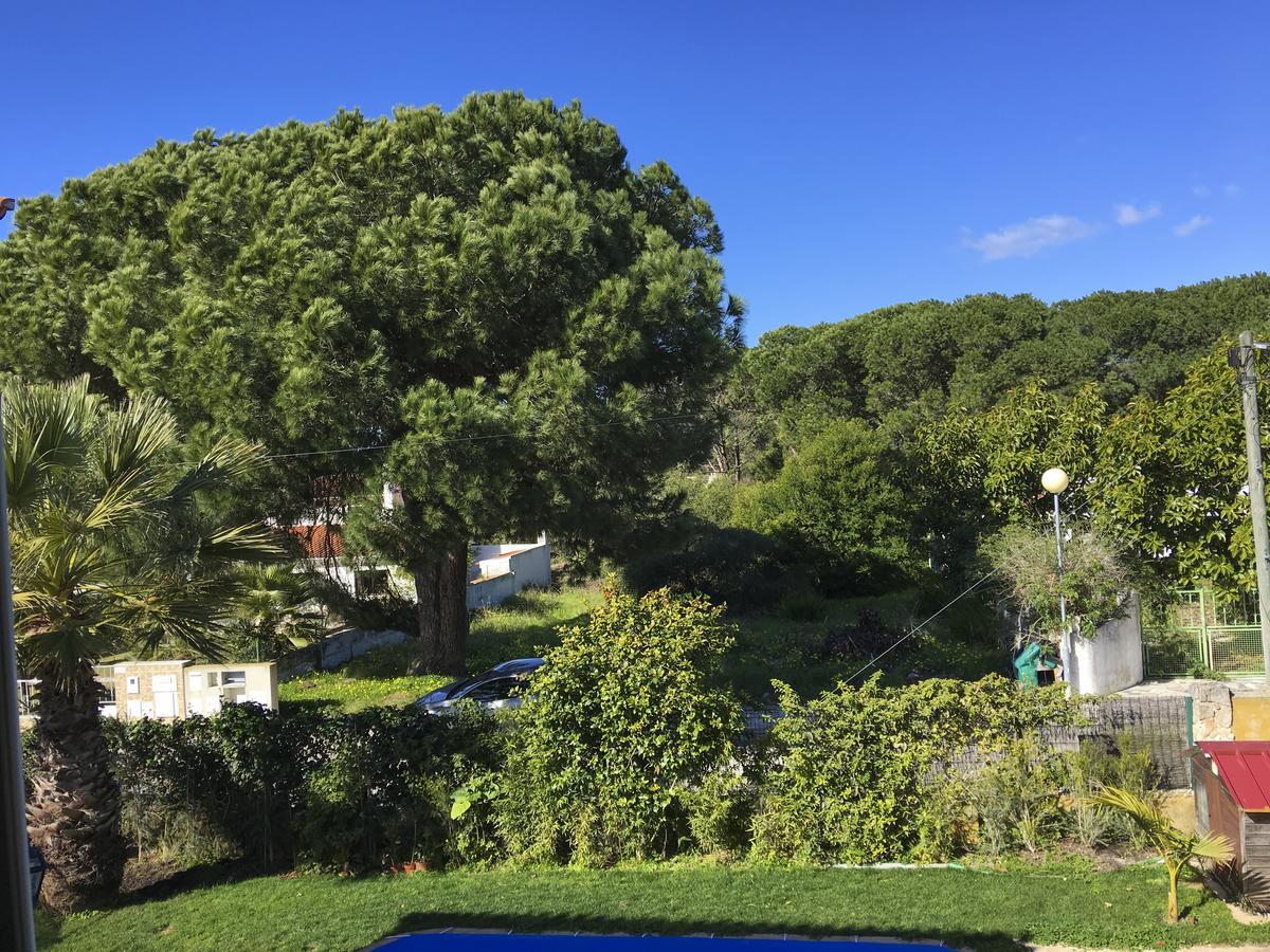 Lv Premier Meco/lagoa La1 * Sesimbra